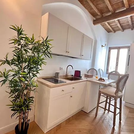 公寓 Petit Paris Fiorentina 佛罗伦萨