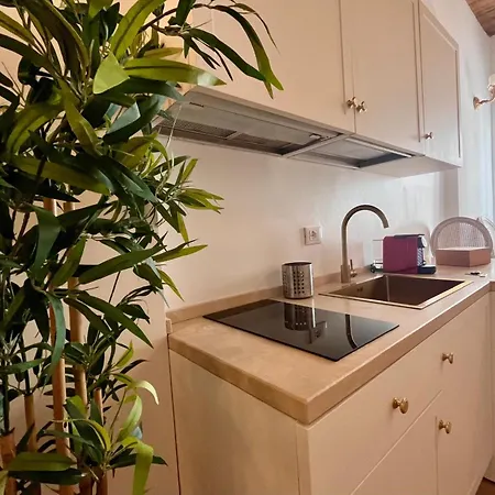 公寓 Petit Paris Fiorentina *